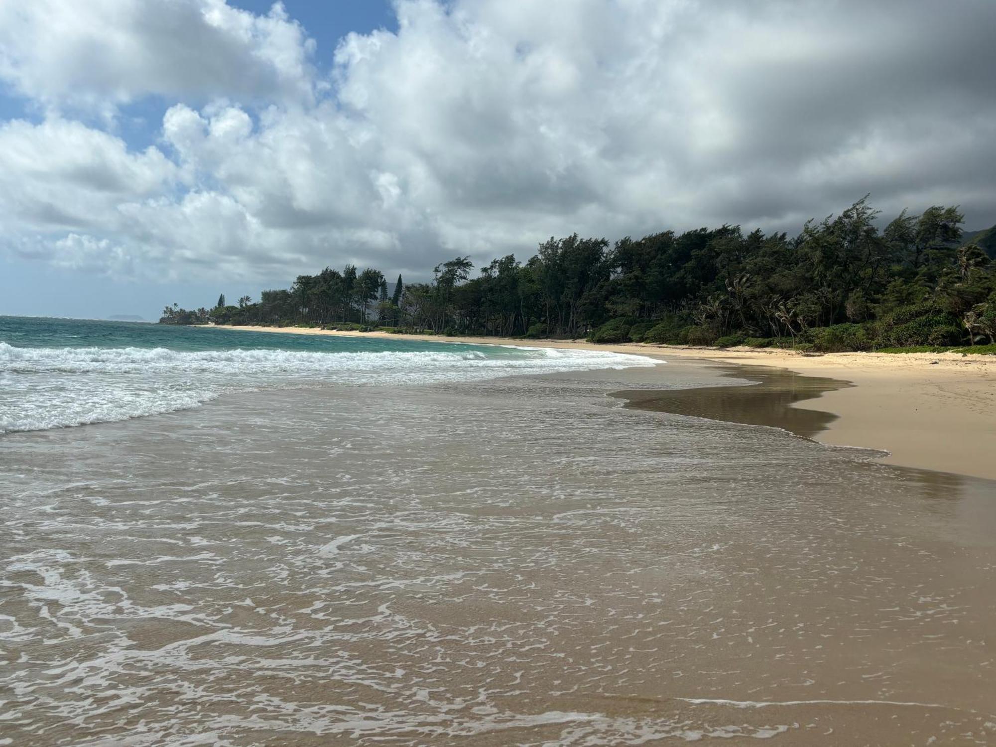 라이에 Tropical Treasure On A White Sandy Beach 빌라 외부 사진