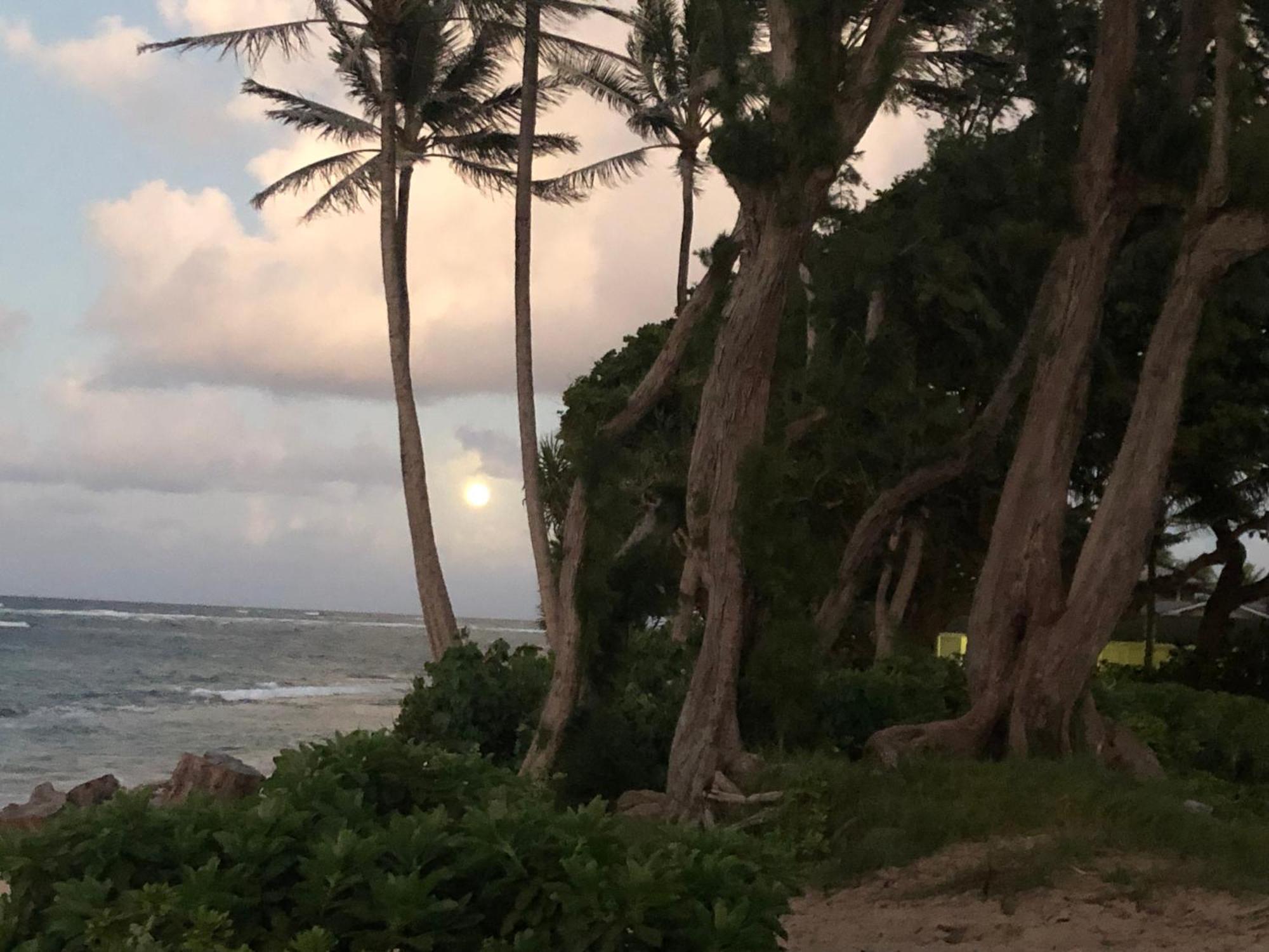 라이에 Tropical Treasure On A White Sandy Beach 빌라 외부 사진